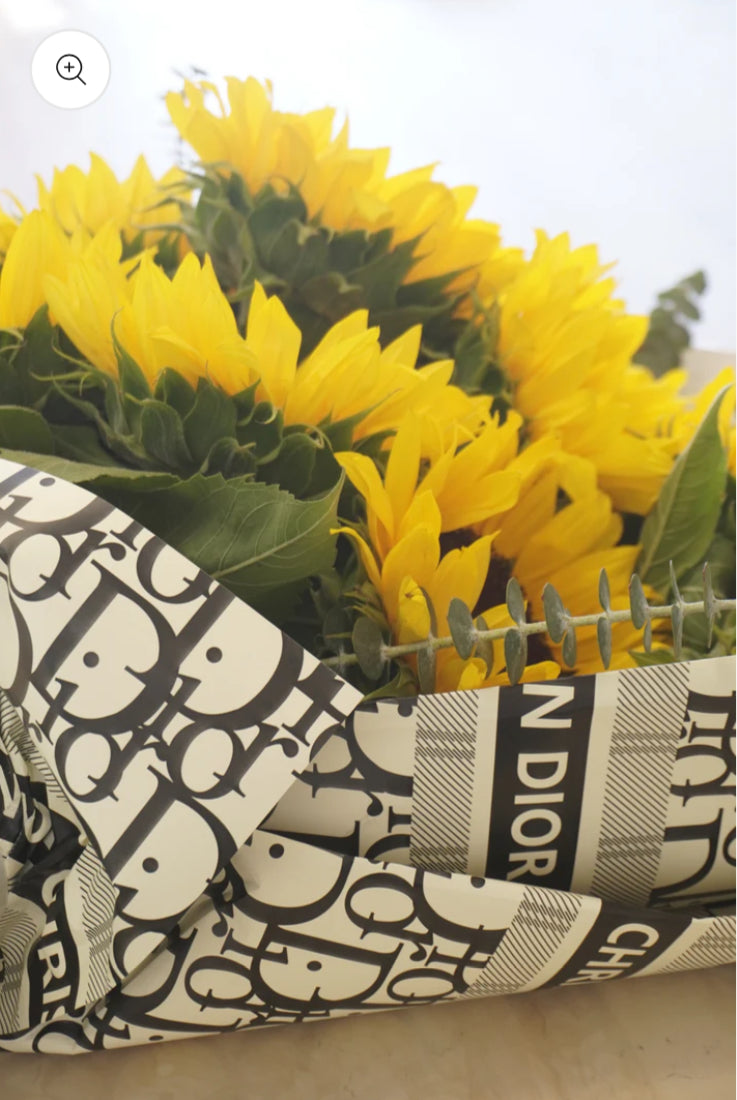 Sun Flowers Blow