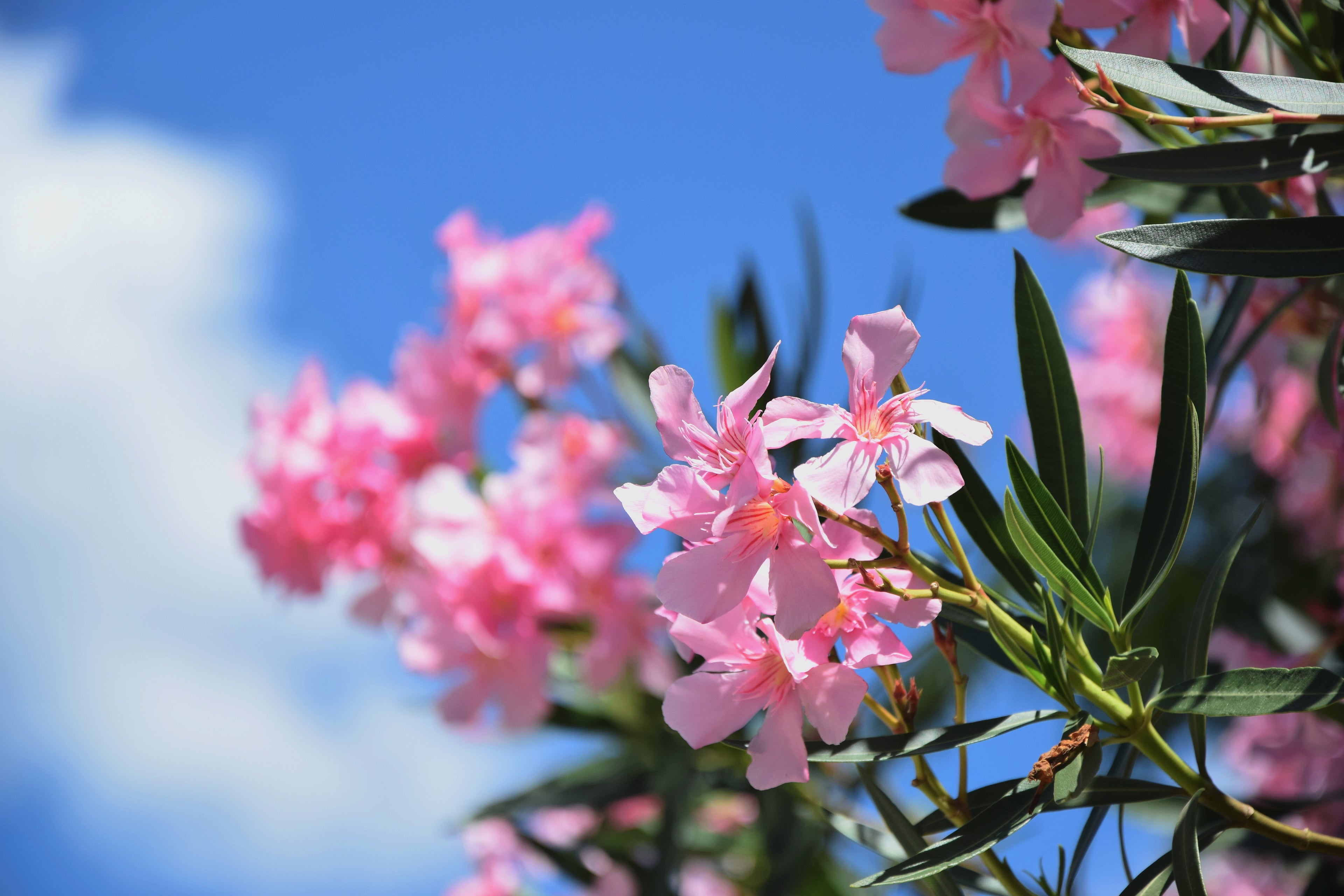 slider image 1621243260e1af0c20-1